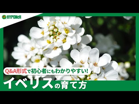 園芸 月のガーデニングに関するよくある質問