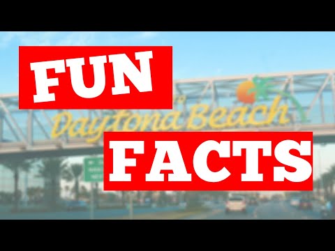 Fun Facts About Daytona Beach Florida [#1 FACT YOU'LL LOVE] 🦩