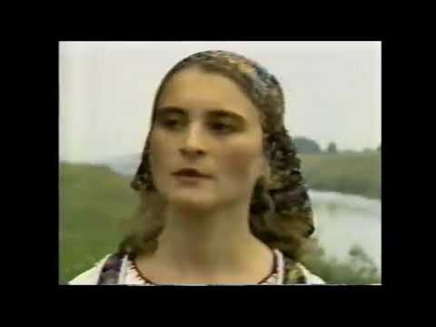 TAM POD LJESOM KALJINOVIM - Ksenija PAPUGA