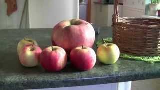 preview picture of video 'Klaipėda obuolys sverentis 910g. lobo rūšis'