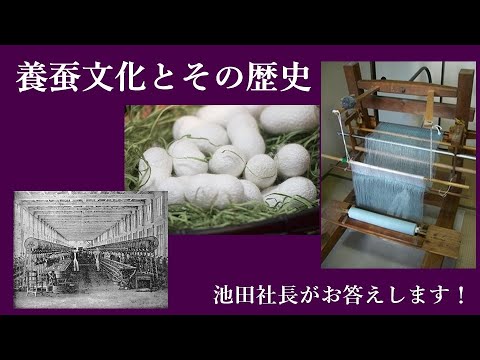 養蚕について詳しく解説