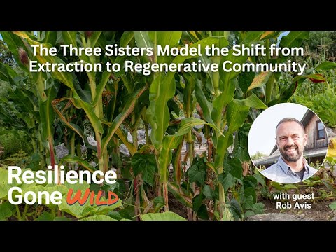 The Three Sisters Model the Shift from Extraction to a Regenerative Community