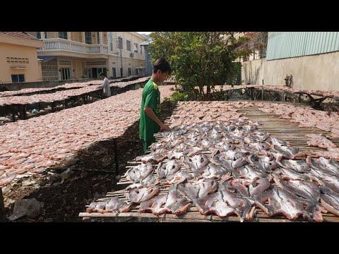 A lot Of Dry Fish Maked & Selling @Kilometers 9 - Vendors Make, Selling Dry Fish on The Street
