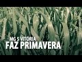 Sementes Brachiaria Brizantha Mg 5 Vitória Matsuda- 20kg