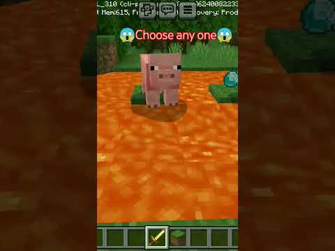 Lucky Pig vs Diamond: Choose Wisely in Minecraft!