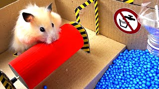 Epic Hamster Maze