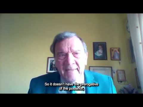 Primo Shllaku: about Promise