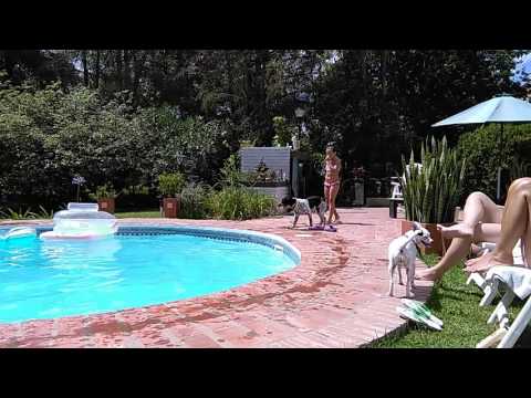 CAROLA EN «EL RASTRO» 2016