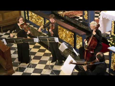 Pandolfis Consort: Viola Congress in Cracov