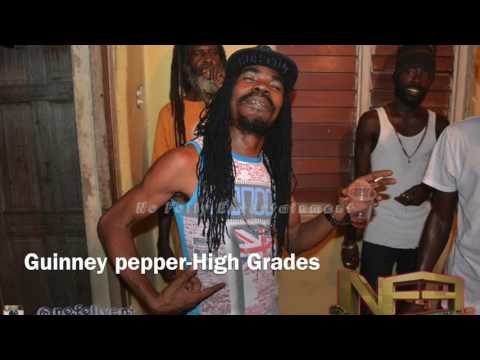 Guinney pepper High Grades