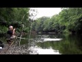 quest for tees chub & barbel (4) July 2014 