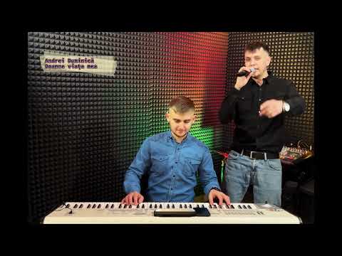 Andrei Duminică - Doamne viața mea (Cover)
