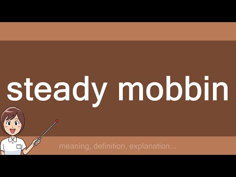 steady mobbin