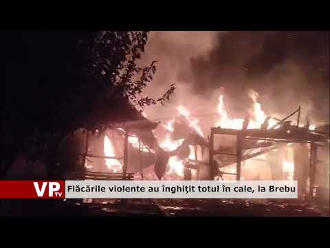 Flăcările violente au înghiţit totul în cale, la Brebu