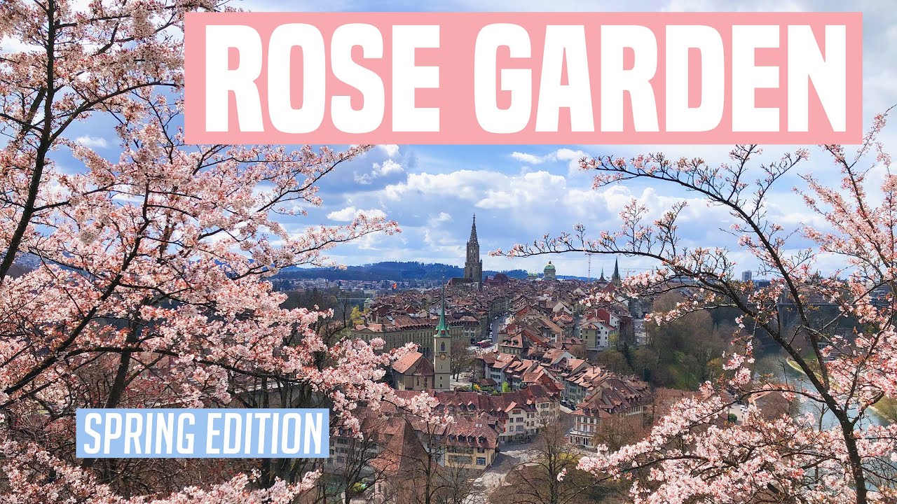 Join a traveler on a captivating video journey through the Rose Garden.