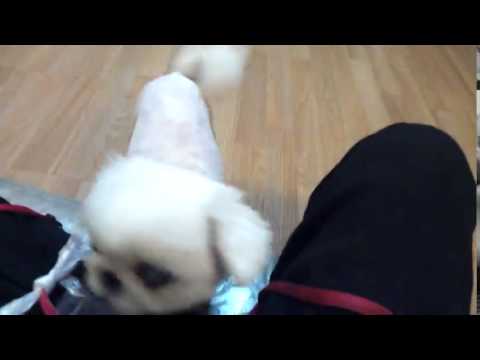 KakaoTalk Video 20140703 2015 03 524