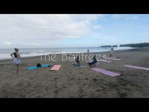 Balitrees Retreats Yoga On The Beach - The Balitrees