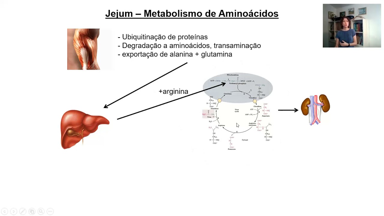 Integração e doenças metabólicas