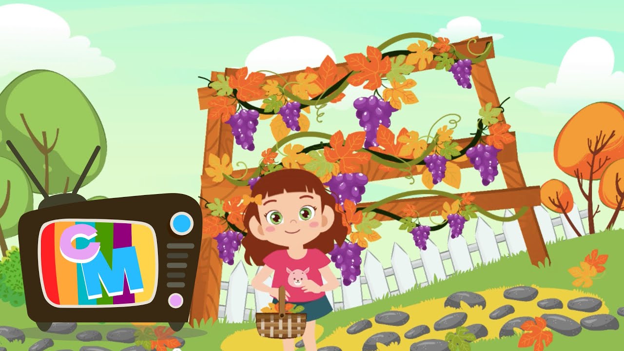 A ruginit frunza din vii - Clopotelul Magic - cantece pentru copii