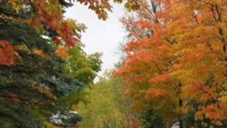 Les Feuilles Mortes (Autumn Leaves) Andrea Bocelli