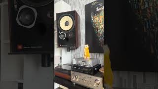 Bloodhound Gang A Lap Dance Is So Much Better When the Stripper Is Crying