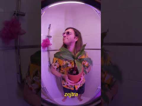 Youtube Video 0sja1ujoloI