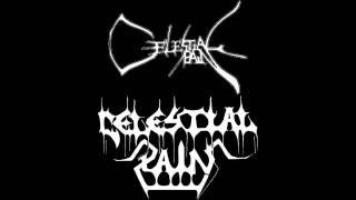 Celestial Pain - Dressed in Black Leather
