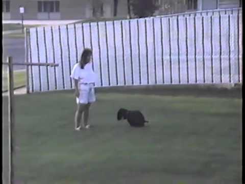 RondoVision Classic Zane N Ashley