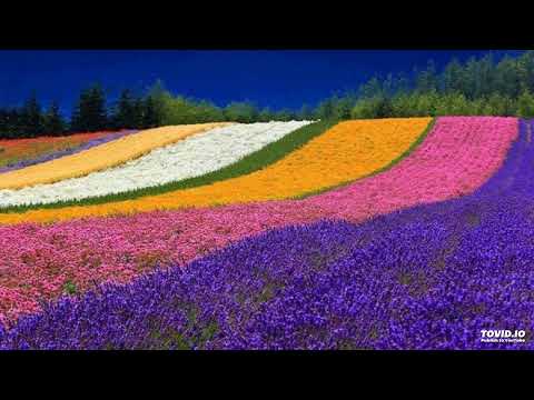 Nicola Fasano feat. Chris Willis ~ My DJ Rock Superstar (Extended Mix)