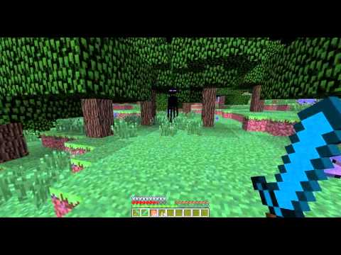 Note: Don't stare at endermen