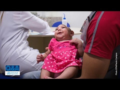 WHO: Microcephaly and Zika virus infection - Questions and answers (Q&A)