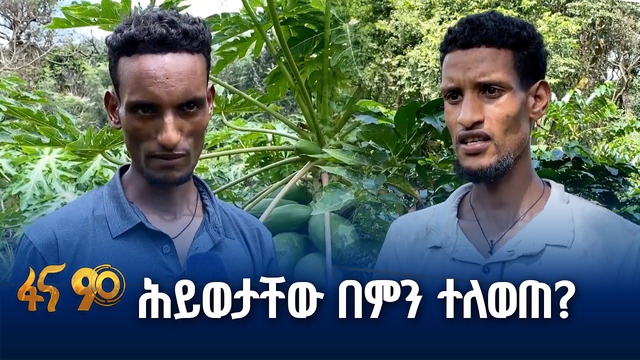 የወንድማማቾቹ  ዓይን የገለጠ ዘርፍ