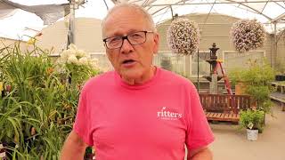Garden Tip Tuesday! How To Water In the Heat!