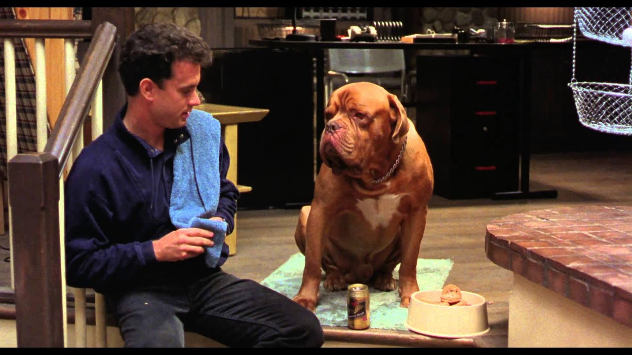 Miniature de la vidéo Turner & Hooch (Bande annonce Vf) du film Turner & Hooch