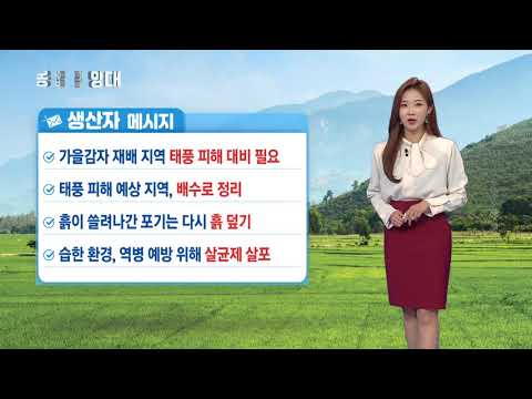 YTN 농업전망대(감자 관측 10월) (2019.10.09) 이미지