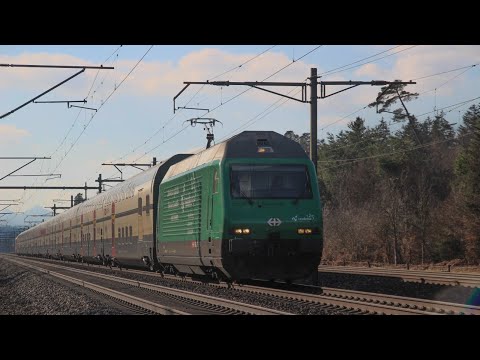Bahnverkehr in Rupperswil / Trafic Ferroviaire à Rupperswil