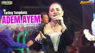 Download lagu ADEM AYEM // CITRA NADA LIVE DESA CIKANDANG (GOLAMPIT) - KERTASARI // BANJARHARJO - BREBES mp3