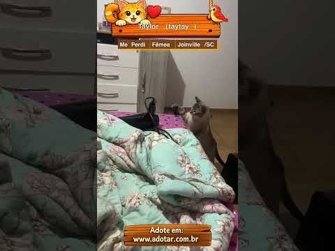 Vídeo de Taylor (taytay)
