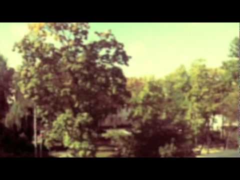 Krekre’s Video 32829031521 0smlLlvBygc