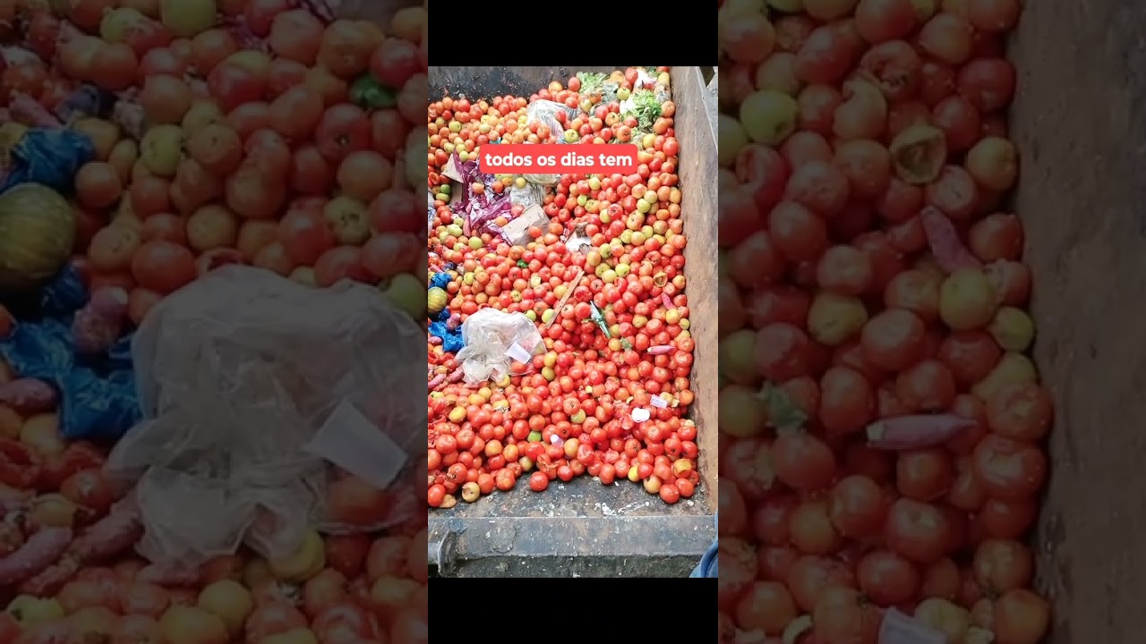 muito desperdício no CEASA RJ