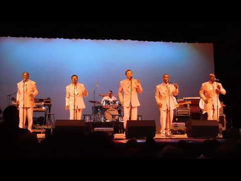 Rubberband Man The Spinners