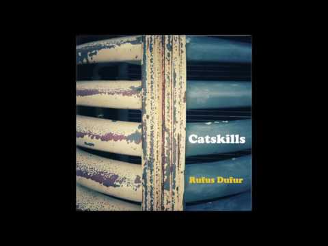 CATSKILLS - Observation Stall (2016)