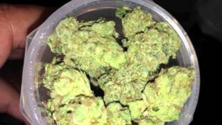 berner shows off his new cookies smoke accessories