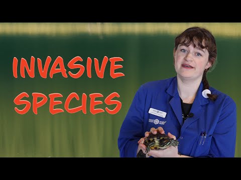 Invaders Among Us: The Hidden Threat of Invasive Species Revealed!