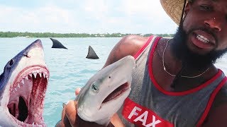 CATCH N COOK GIANT STINGRAY AND SHARK! Cooking With Chef O Nasty