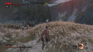 【sekiro】淡々と無言配信＃12