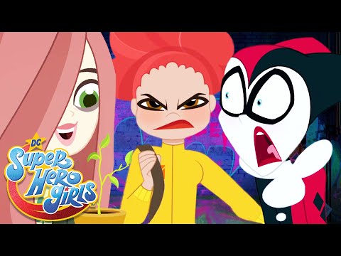 Super Shorts 27-40 ✨ | DC Super Hero Girls