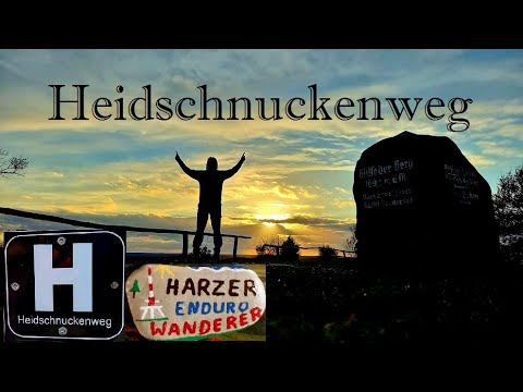 Heidschnuckenweg in der Lüneburger Heide im November | Wilseder Berg | Undeloh | Honda NX250