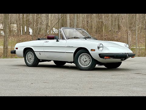 1980 Alfa Romeo Spider (CC-1964515) for sale in Saugatuck, Michigan