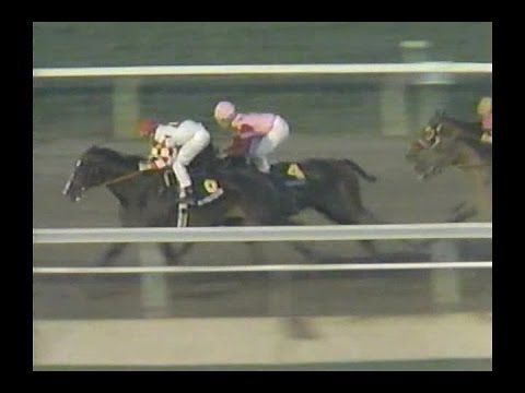 1989 Strub Stakes : ESPN Broadcast